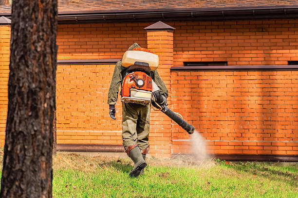 Trusted Cockroach Control service in Elk Creek, KY - Nex Pest Control